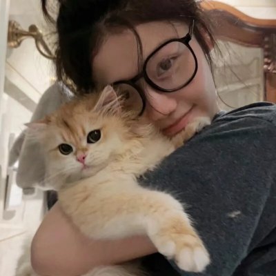 文豪野犬第二季