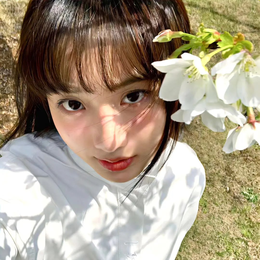 故乡面·参花情